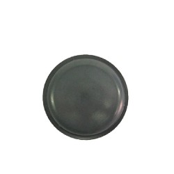 Καπάκι ρουλεμάν τροχού γνήσιο της SMART Q0002430V006000000