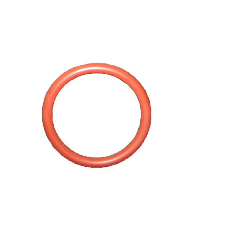 Fuel tank sealing ring Mercedes-benz A2029970845