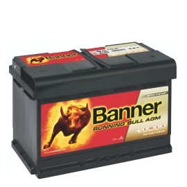 Banner Running Bull AGM 570 01 (L3)