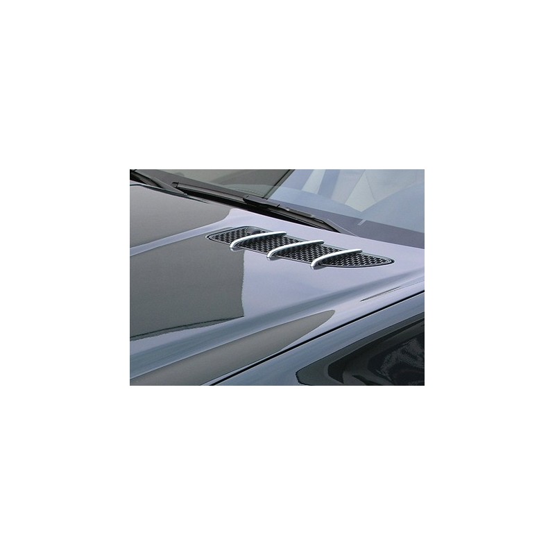 Γρύλιες για καπό Mercedes SLK R171